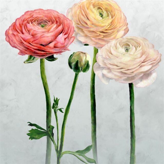 Designers Guild tapetti Tampere